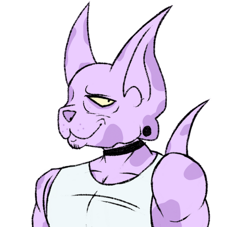 Beerus Race OC